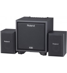 Roland Cube CM-110 2.1 Monitoring System for Electronic Instruments (Black)