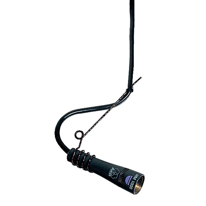 Hanging Mic