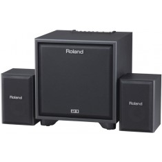 Roland Cube CM-220 2.1 Monitoring System for Electronic Instruments  